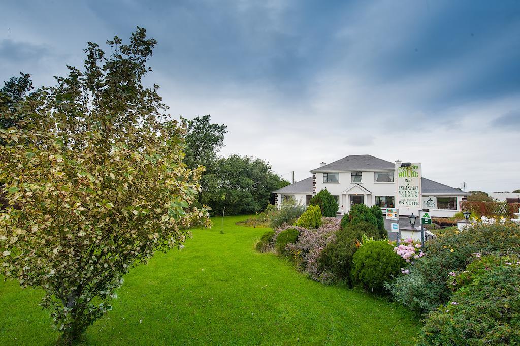 Bed and Breakfast Castle View House à Ballylongford Extérieur photo